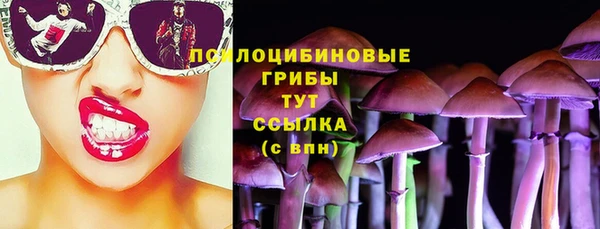 стафф Горно-Алтайск