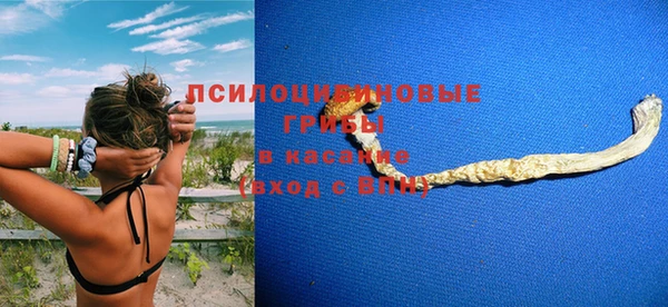 стафф Горно-Алтайск