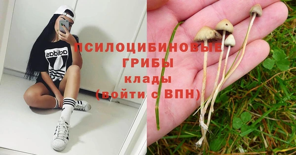 стафф Горно-Алтайск