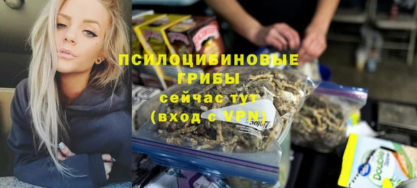 стафф Горно-Алтайск