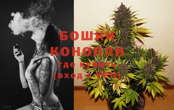 стафф Горно-Алтайск