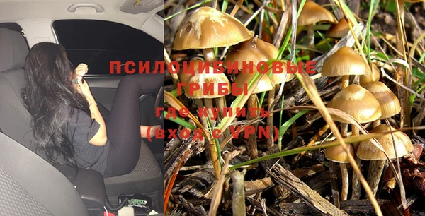 марки lsd Горнозаводск